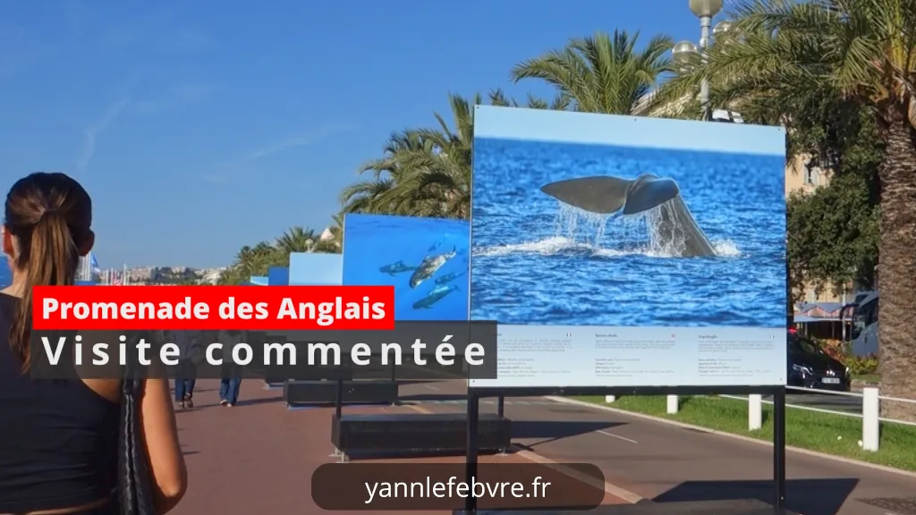 You are currently viewing The Promenade des Anglais at Nice 06