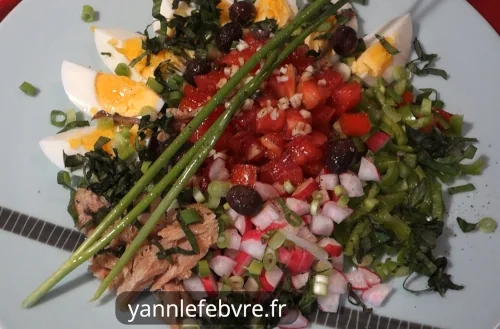 Niçoise salad: Nice tomato salad (raw vegetables, eggs, tuna, anchovies). Simple & tasty! by Yann Lefebvre