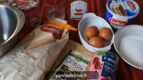 Tiramisu - the ingredients for a fruit tiramisu by Yann Lefebvre